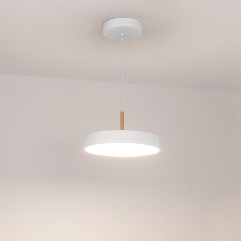 Подвесной светильник ELEGANT 033919