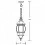 Уличный светильник подвесной  83405S Bl